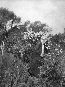 Helen Jessica Acland Troyte